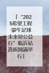 “2025希望工程·蒙牛足球未来星公益行”临沂站选拔圆满举行