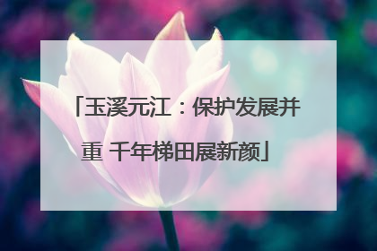 玉溪元江：保护发展并重 千年梯田展新颜