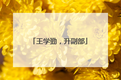 王学勤，升副部