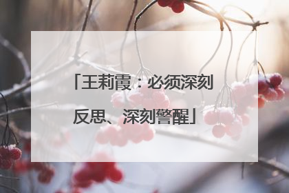王莉霞：必须深刻反思、深刻警醒