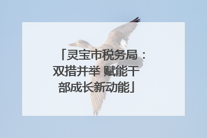 灵宝市税务局：双措并举 赋能干部成长新动能