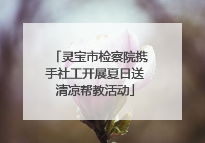 灵宝市检察院携手社工开展夏日送清凉帮教活动