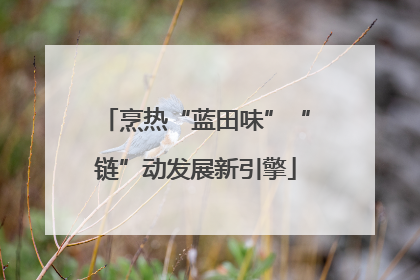 烹热“蓝田味”“链”动发展新引擎