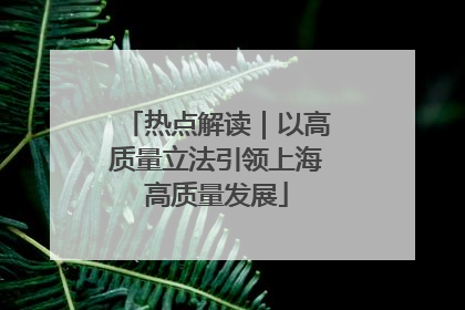 热点解读｜以高质量立法引领上海高质量发展