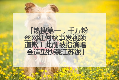 热搜第一，千万粉丝网红何秋亊发视频道歉！此前被指演唱会造型抄袭汪苏泷