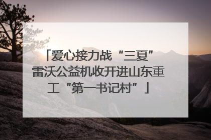 爱心接力战“三夏” 雷沃公益机收开进山东重工“第一书记村”