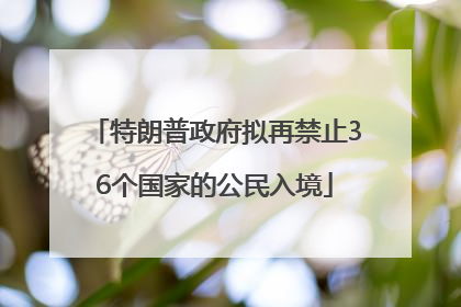 特朗普政府拟再禁止36个国家的公民入境