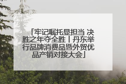 牢记嘱托显担当 决胜之年夺全胜丨丹东举行品牌消费品暨外贸优品产销对接大会