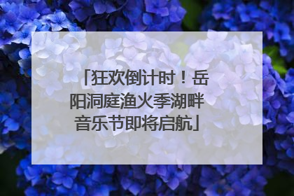 狂欢倒计时！岳阳洞庭渔火季湖畔音乐节即将启航