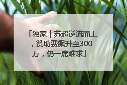 独家｜苏超逆流而上，赞助费飙升至300万，仍一席难求
