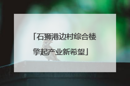 石狮港边村综合楼擎起产业新希望