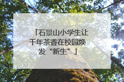 石景山小学生让千年茶香在校园焕发“新生”
