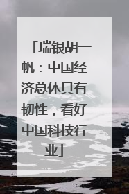瑞银胡一帆：中国经济总体具有韧性，看好中国科技行业