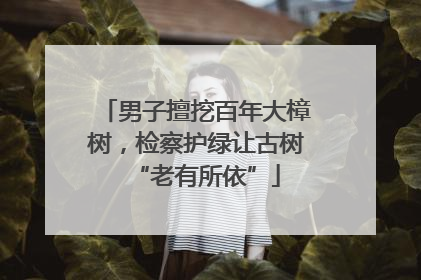 男子擅挖百年大樟树，检察护绿让古树“老有所依”