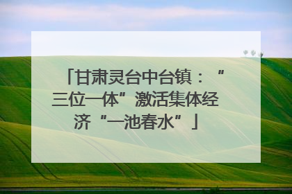 甘肃灵台中台镇：“三位一体”激活集体经济“一池春水”