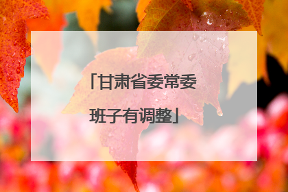 甘肃省委常委班子有调整