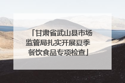 甘肃省武山县市场监管局扎实开展夏季餐饮食品专项检查