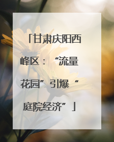 甘肃庆阳西峰区：“流量花园”引爆“庭院经济”