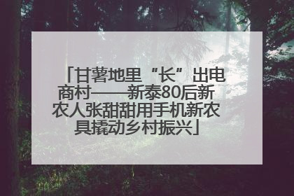 甘薯地里“长”出电商村——新泰80后新农人张甜甜用手机新农具撬动乡村振兴