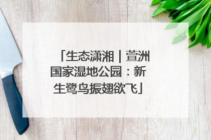生态潇湘｜萱洲国家湿地公园：新生鹭鸟振翅欲飞