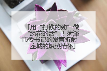 用“打铁的劲”做“绣花的活”！菏泽市委书记的发言折射一座城的炽热情怀