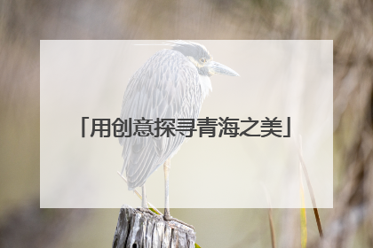 用创意探寻青海之美