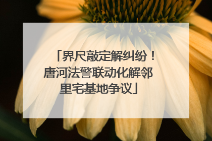界尺敲定解纠纷！唐河法警联动化解邻里宅基地争议