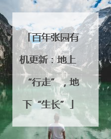 百年张园有机更新：地上“行走”，地下“生长”