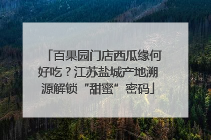 百果园门店西瓜缘何好吃？江苏盐城产地溯源解锁“甜蜜”密码