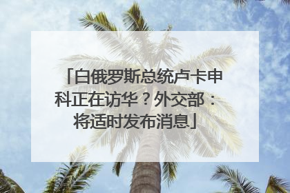 白俄罗斯总统卢卡申科正在访华？外交部：将适时发布消息