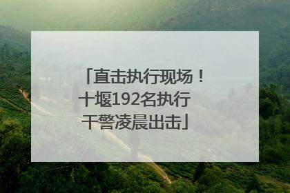 直击执行现场！十堰192名执行干警凌晨出击