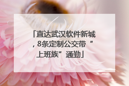 直达武汉软件新城，8条定制公交带“上班族”通勤