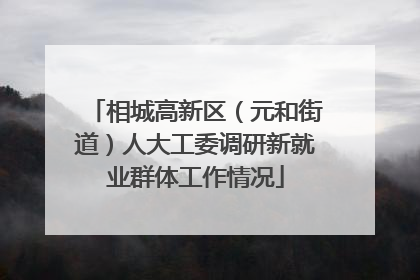 相城高新区（元和街道）人大工委调研新就业群体工作情况