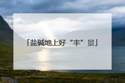 盐碱地上好“丰”景