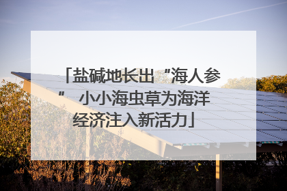 盐碱地长出“海人参” 小小海虫草为海洋经济注入新活力