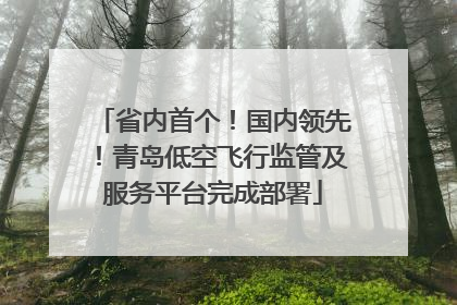 省内首个！国内领先！青岛低空飞行监管及服务平台完成部署