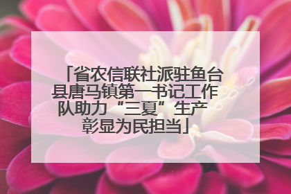 省农信联社派驻鱼台县唐马镇第一书记工作队助力“三夏”生产 彰显为民担当