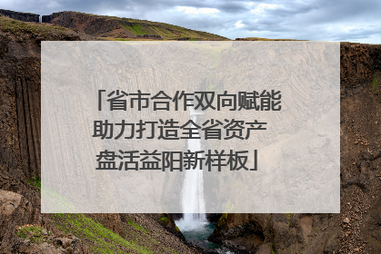 省市合作双向赋能 助力打造全省资产盘活益阳新样板