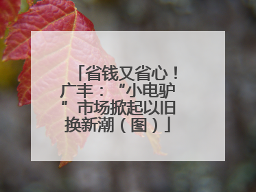 省钱又省心！广丰：“小电驴”市场掀起以旧换新潮（图）