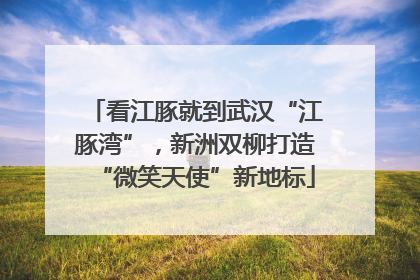看江豚就到武汉“江豚湾”，新洲双柳打造“微笑天使”新地标