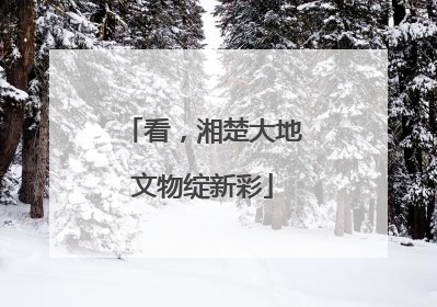 看，湘楚大地文物绽新彩