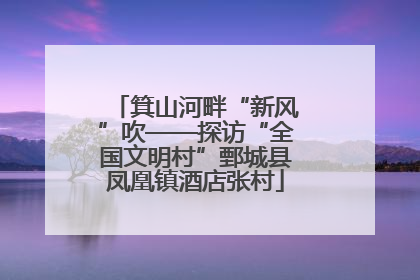 箕山河畔“新风”吹——探访“全国文明村”鄄城县凤凰镇酒店张村