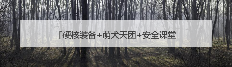 硬核装备+萌犬天团+安全课堂！这场警民互动燃爆地铁台东站