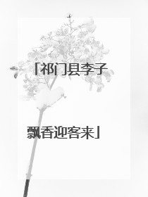 祁门县李子飘香迎客来