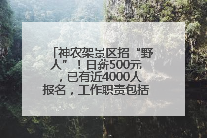 神农架景区招“野人”！日薪500元，已有近4000人报名，工作职责包括“接受游客投喂”