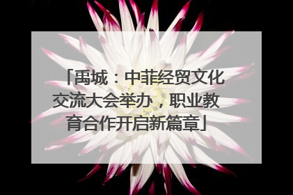 禹城：中菲经贸文化交流大会举办，职业教育合作开启新篇章