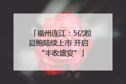 福州连江：5亿粒夏鲍陆续上市 开启“丰收盛宴”