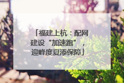 福建上杭：配网建设“加速跑”，迎峰度夏添保障