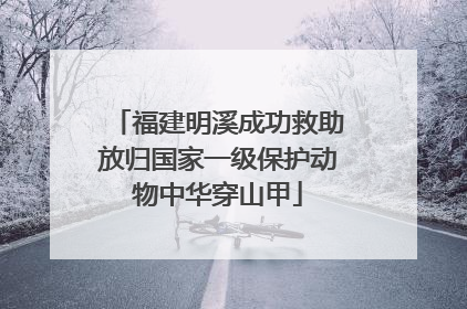 福建明溪成功救助放归国家一级保护动物中华穿山甲