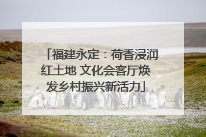 福建永定：荷香浸润红土地 文化会客厅焕发乡村振兴新活力